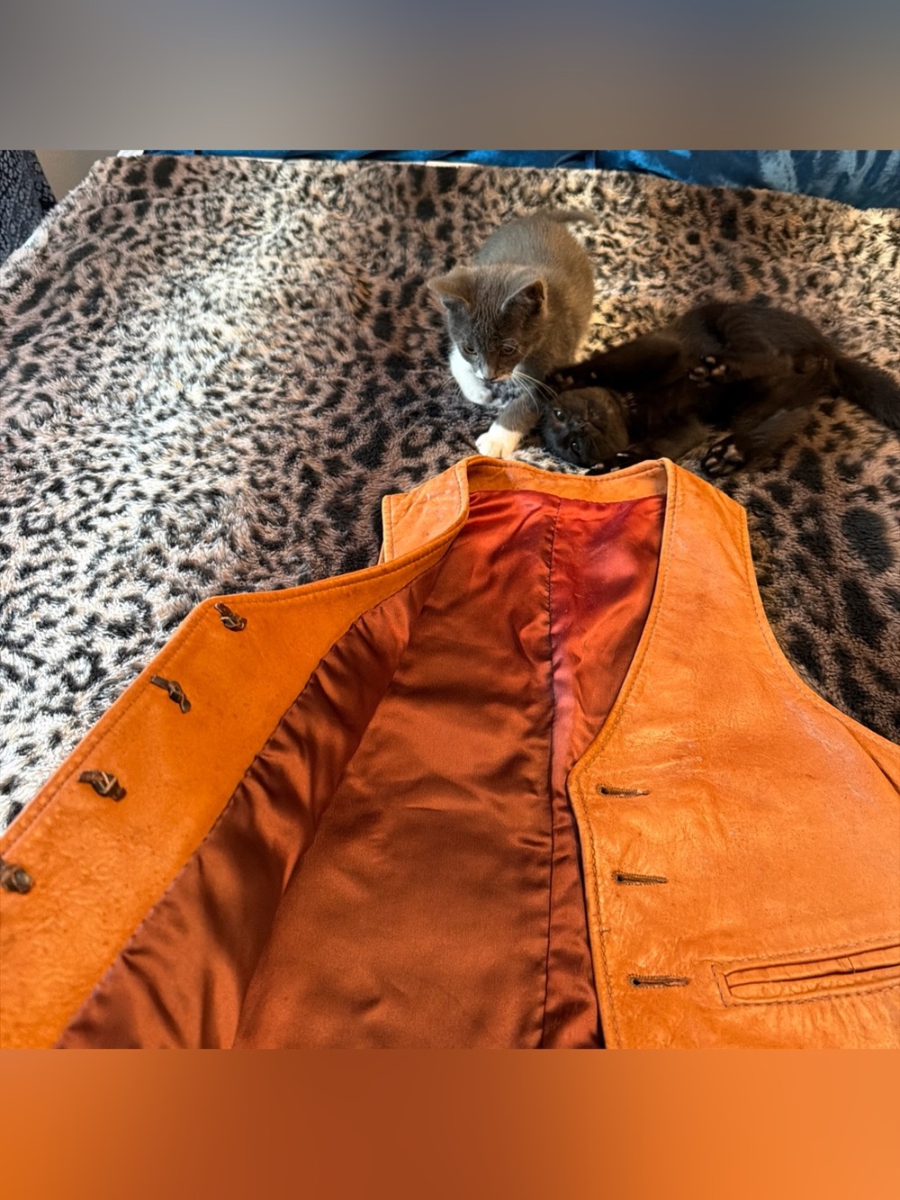 Brown Leather 5 Button Vest beautiful RARE Auburn SATIN lined Leather Vintage - Picture 3 of 14